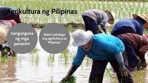 agrikultura ng pilipinas|PIDS .